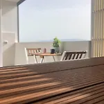 Suite Lighthouse
